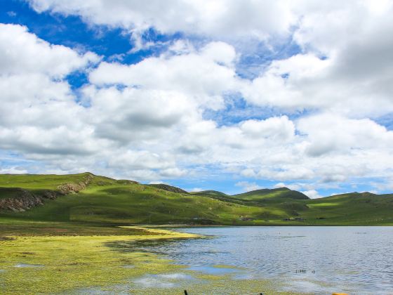 Gannan Gahai Migratory Birds Nature Reserve