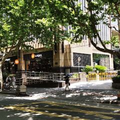 Wagas沃歌斯（番禺路店）張用戶圖片