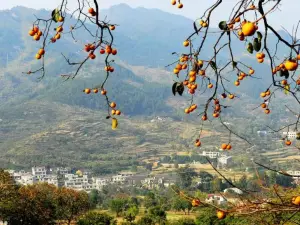 鏨字石村