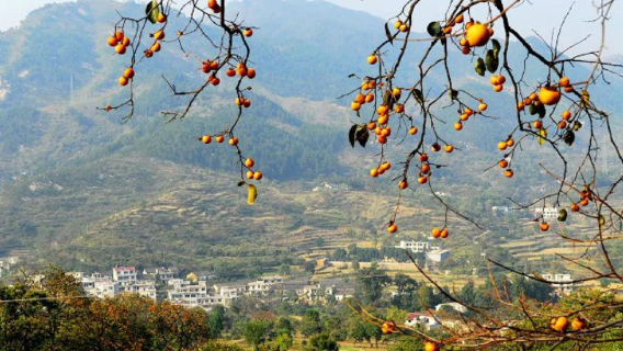 zan zi shi cun
