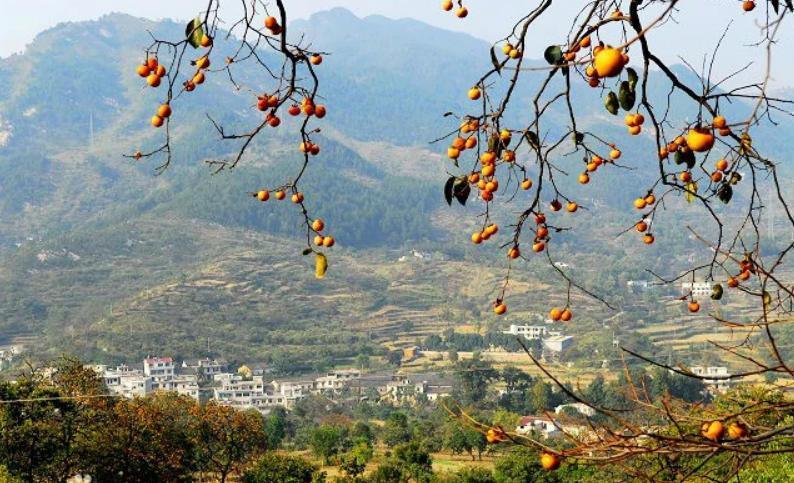 zan zi shi cun