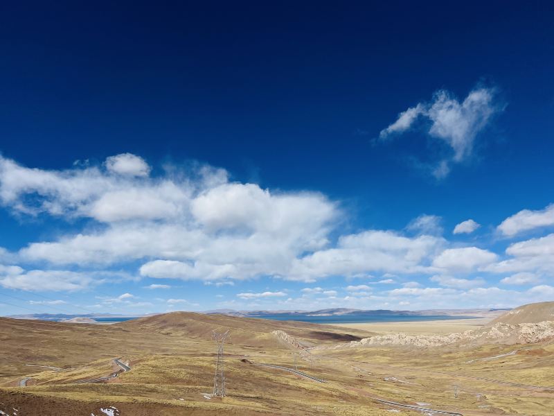 Paradise Grassland