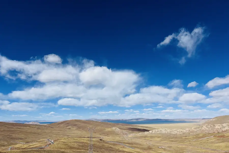 Paradise Grassland