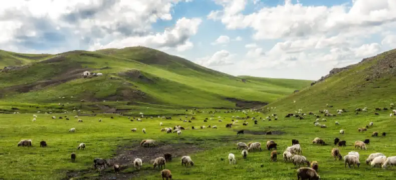 鄰近庫魯克塔格山的酒店