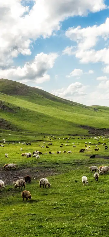 鄰近塔城市烈士陵園的酒店