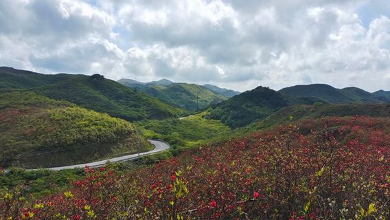 Liuyanghe Food Street