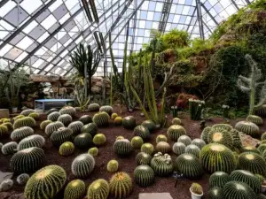 Qixing Lake Desert Museum