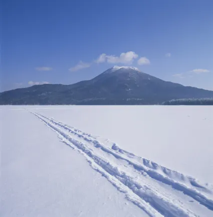 山東航空の釧路行き航空券