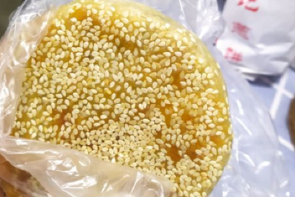 WEN JI YONG TAI CONG BING