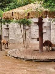 Зоопарк Ибэна