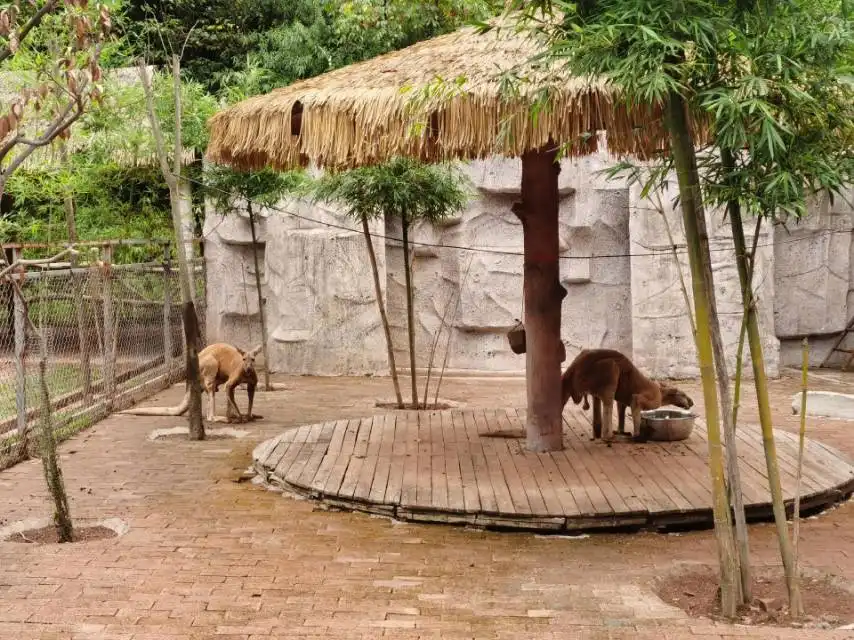Hotels near Yibin Zoo