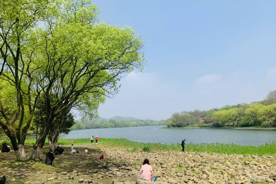 茅鄉水情