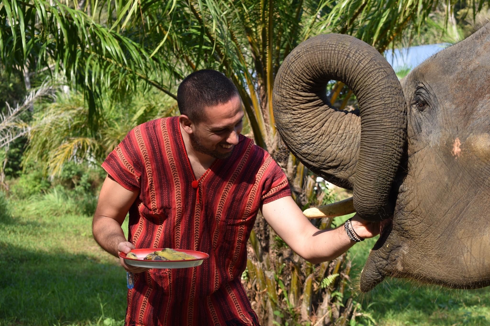 Phuket, Thailand: Naidi Elephant Sanctuary Day Trip [Mud Spa, Cooking & Transfers]