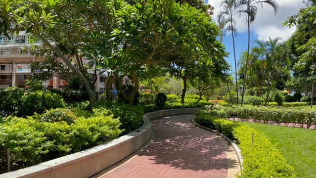 Dr. Carlos d'Assumpcao Park