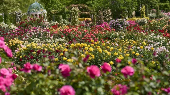 Keisei Rose Garden