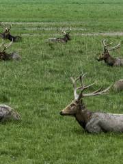 Elk National Nature Reserve