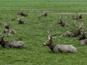 Elk National Nature Reserve