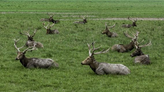 Elk National Nature Reserve