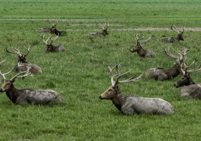 Elk National Nature Reserve