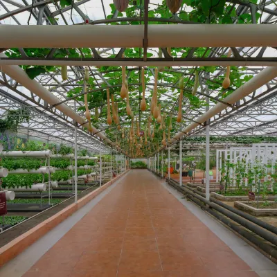 3-звездочные отели в г. Шоугуан