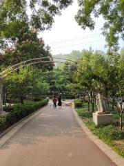 Beijingshi Haidianqu Yuanlin Wenhua Ju Park