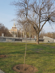 Manhanarivskyi Square