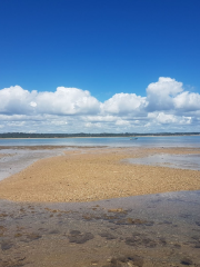 Red Crown Beach Santa Cruz Cabrália