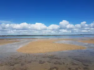 Red Crown Beach Santa Cruz Cabrália