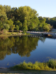 Tőserdő Holt Tisza