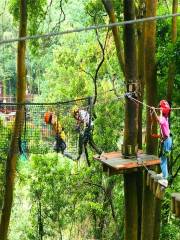 白水寨叢林探險樂園