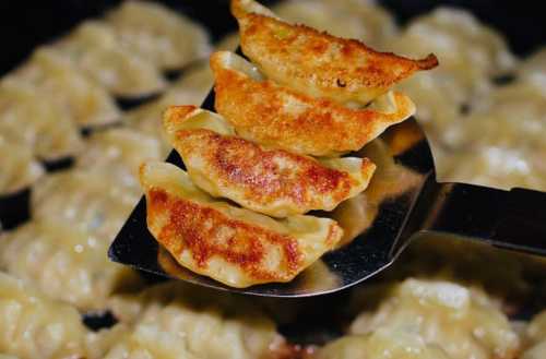 Ganso Gyoza-en