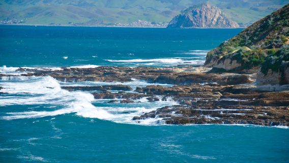 Morro Bay State Park