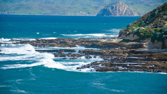 Morro Bay State Park