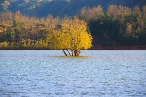 Dahaicao Mountain