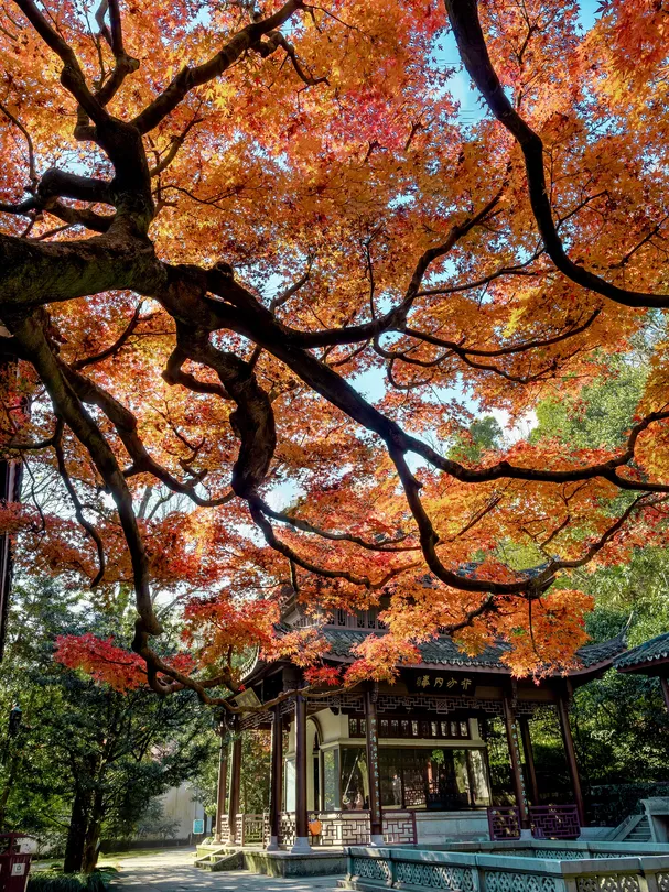 3_虎跑公園
