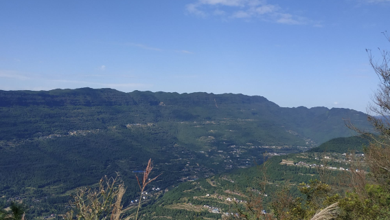 long zhu ling gua bi zhan dao jing qu