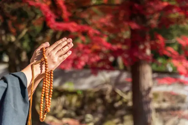 Zen Meditation Experiences in Kyoto