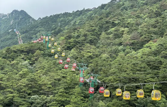 廬山風景名勝區交通纜車票小童