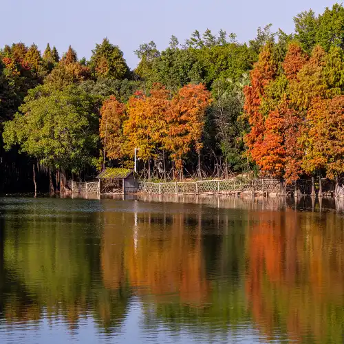 Top 10 Fall Viewing Attractions in Xiamen