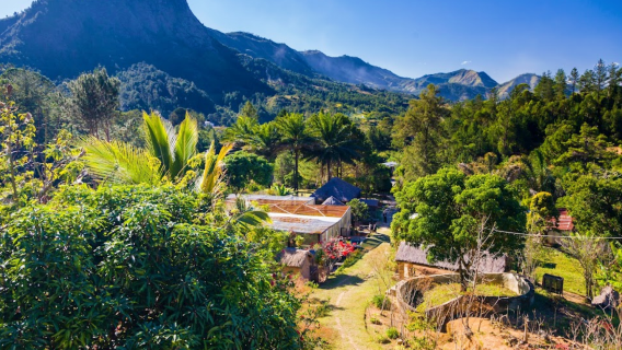 Réserve Peyrieras Madagascar Exotic