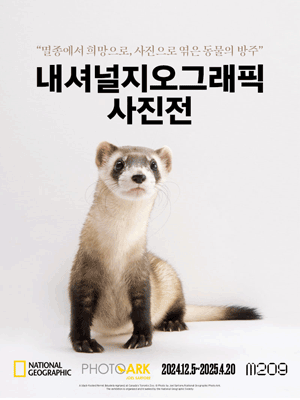 National Geographic Photo Exhibition | Seoul