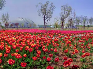 Taiyuan Botanical Garden