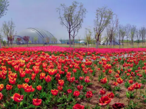 สวนพฤกษศาสตร์ไท่หยวน