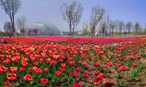 Taiyuan Botanical Garden