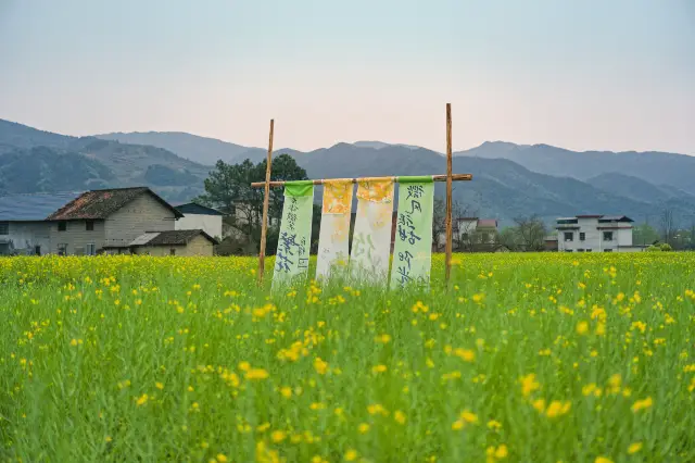 Rapeseed Flower Viewing in Chenzhou