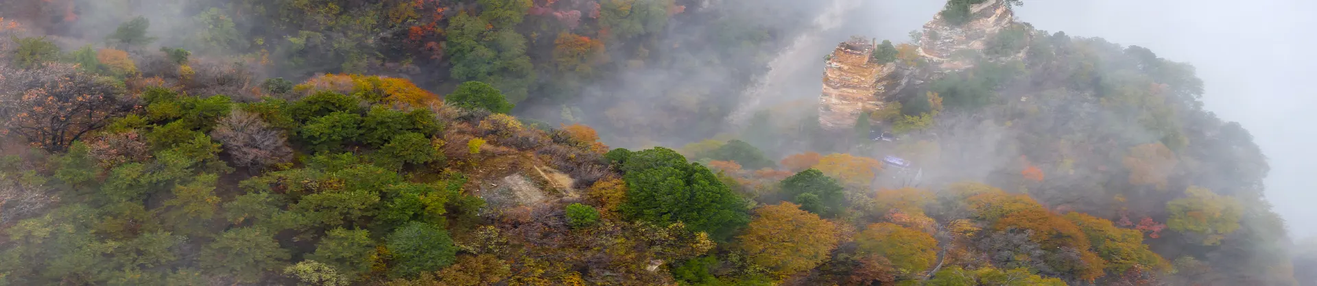 Paysages d’automne