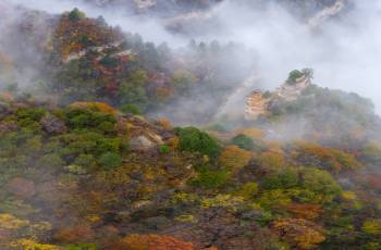 Popular Fall Viewing Attractions in Yongji