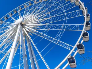Niagara SkyWheel