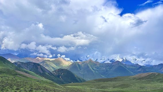 kang ding shi ti nong mi jing