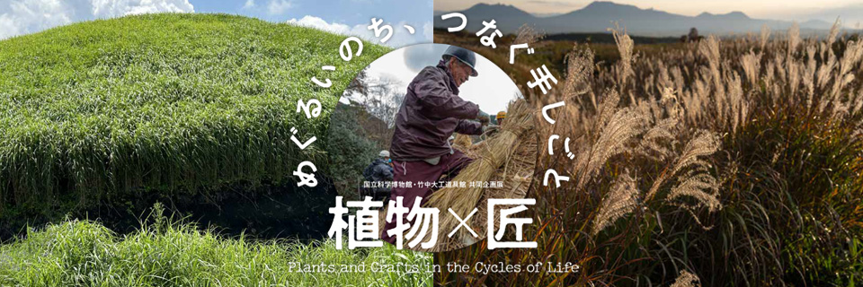 National Museum of Nature and Science and Takenaka Carpentry Tools Museum Joint Exhibition "Plants and Craftsmen: Circulating Life, Connecting Handicrafts" | National Museum of Nature and Science